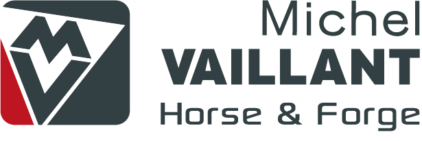 logo Michel Vaillant